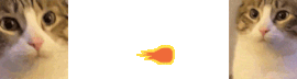 Obrázok profilu