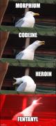 Obrázok profilu