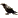 Smola