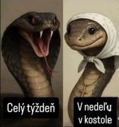 Obrázok profilu